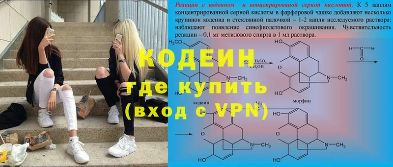 купить закладку  Бакал  Кодеиновый сироп Lean Purple Drank 